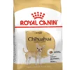 Royal Canin Chihuahua Adult Yetişkin Köpek Kuru Mamasi
