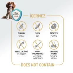 Felicia Düşük Tahıllı Hipoalerjenik Somonlu Küçük Irk Yetişkin Köpek Maması4