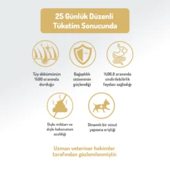 Felicia Düşük Tahıllı Hipoalerjenik Somonlu Küçük Irk Yetişkin Köpek Maması5