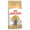 Royal Canin British Shorthair Adult Yetişkin Kedi Maması0