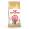 Royal Canin British Shorthair Kitten Yavru Kedi Mamasi