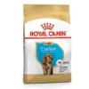 Royal Canin Cocker Junior Yavru Köpek Mamasi