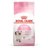 royal canin kitten yavru kedi mamasi woofz petshop