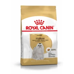 Royal Canin Maltese Terrier Adult Yetişkin Köpek Mamasi