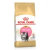 Royal Canin Persian Kitten Yavru Kedi Mamasi