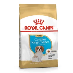 Royal Canin Puppy Cavalier King Charles Yavru Köpek Mamasi