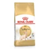 Royal Canin Sphynx Yetişkin Kedi Mamasi