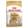 royal canin pomeranian yetiskin kopek irk mamasi