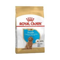 royal canin poodle puppy yavru kopek