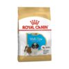 royal canin shih tzu puppy yavru kopek