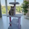 HayMiaKo Premium Salıncaklı Kedi Tırmalama Evi0