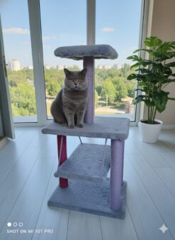HayMiaKo Premium Salıncaklı Kedi Tırmalama Evi0