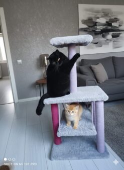 HayMiaKo Premium Salıncaklı Kedi Tırmalama Evi1