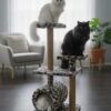 HayMiaKo Premium Tünelli Kedi Tırmalama Evi0