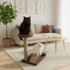haymiako-kedi-koprusu-ve tirmalama-evi1