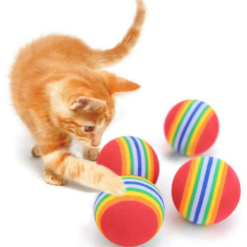 kedi-sungeri-dortlu-top0