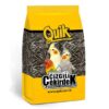 quik-cizgili-paraket-cekirdegi