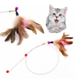 tuylu-zilli-kedi-oltasi