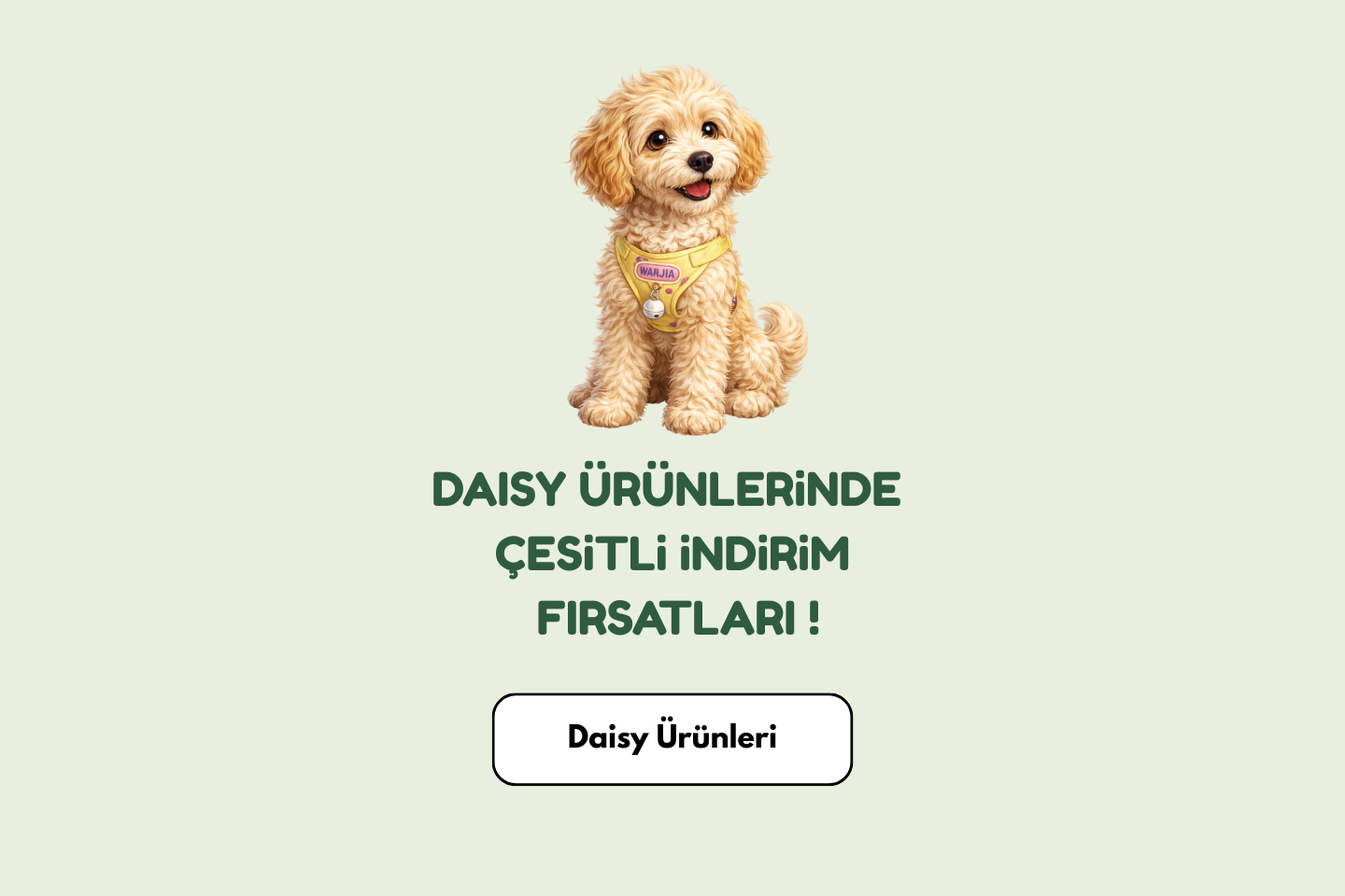 woof petshop kedi ve köpek ürünleri