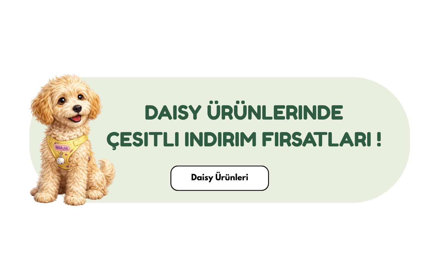woof petshop kedi ve köpek ürünleri