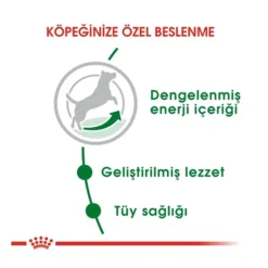 royal-canin-mini-adult-kucuk-irk-yetiskin-kopek-mamasi2