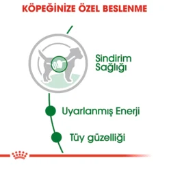 royal-canin-yetiskin-kopek-konservesi2
