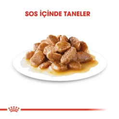 royal-canin-yetiskin-kopek-konservesi3