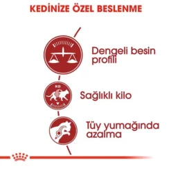 Royal Canin Fit 32 Yetişkin Kedi Maması 2