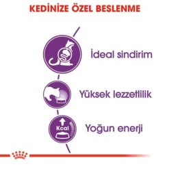 Royal Canin Sensible 33 Hassas Yetişkin Kedi Maması 1