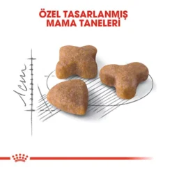Royal Canin Sensible 33 Hassas Yetişkin Kedi Maması 2