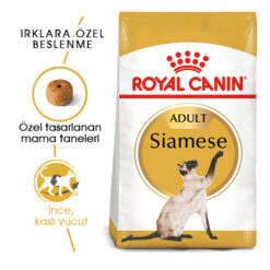 royal canin siamese 38 yetişkin kedi maması