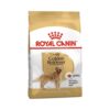 royal canin golden retriever adult yetişkin köpek maması