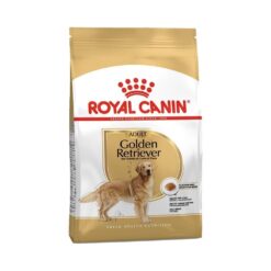 royal canin golden retriever adult yetişkin köpek maması