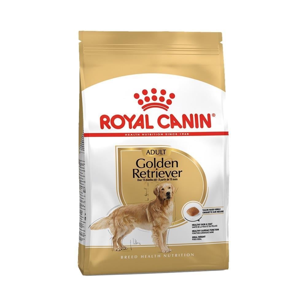 royal canin golden retriever adult yetişkin köpek maması